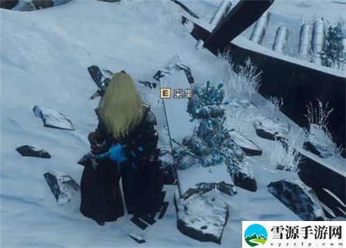 狂野之心奇妙的茧在哪 狂野之心奇妙的茧获得方法