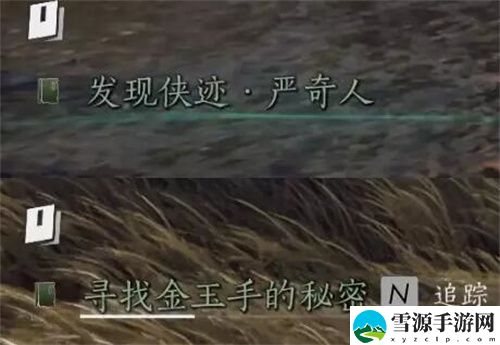 燕云十六声侠迹卷三严奇人任务如何通关