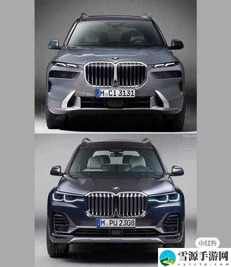 x7x7x7任意噪