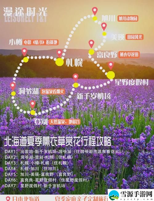 薰衣草研究所免费进入在线