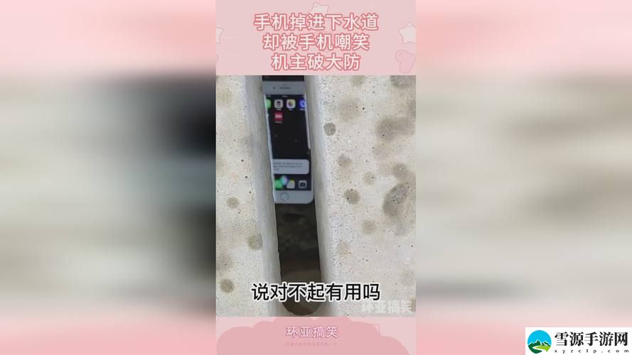 X7X7暴力噪入口