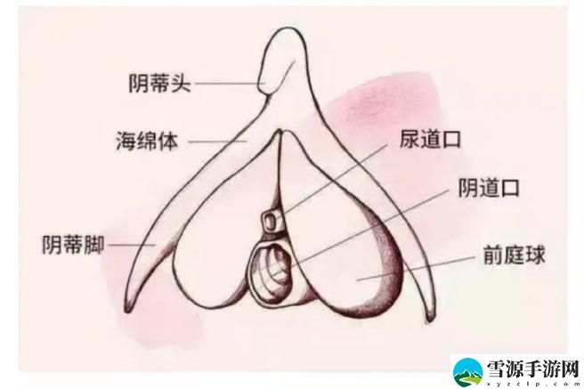 大荫蒂BBBBBB大荫蒂