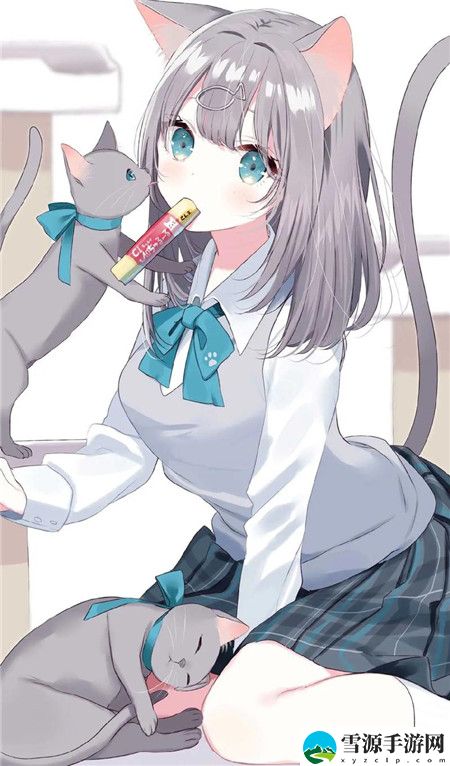 欧美VPSWINDOWS极品