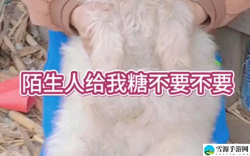 疯狂梗传陌生人给我糖