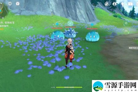原神清歌涓浅恰如此生任务通关打法是什么