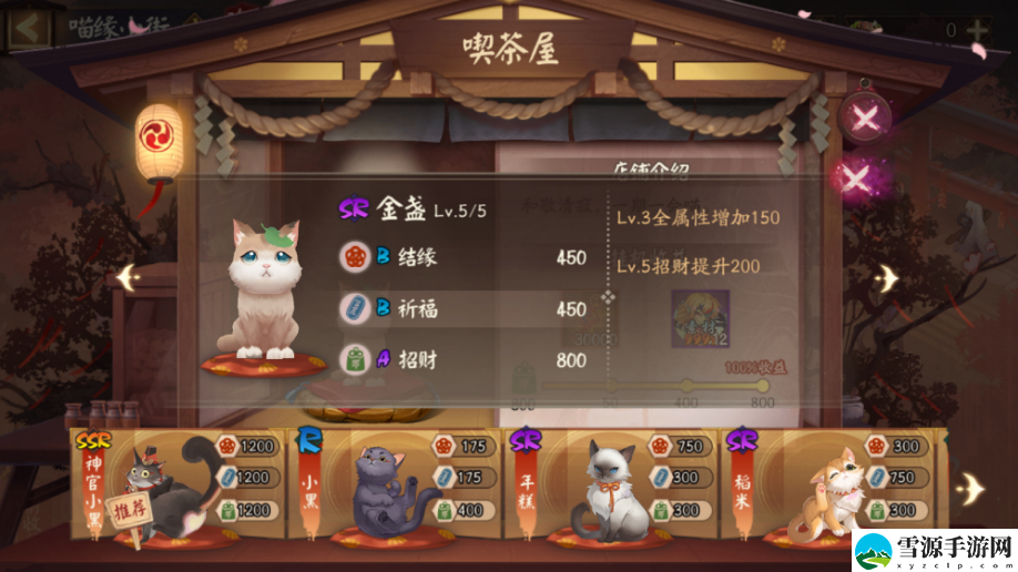 阴阳师喵缘小街猫咪选哪个好