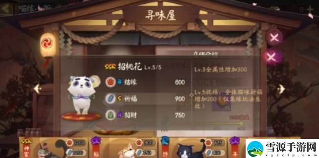 阴阳师喵缘小街猫咪选哪个好