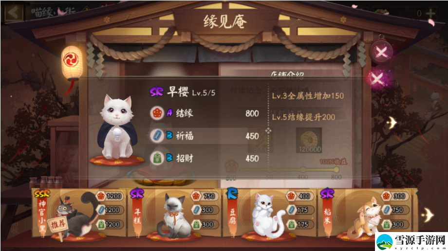 阴阳师喵缘小街猫咪选哪个好