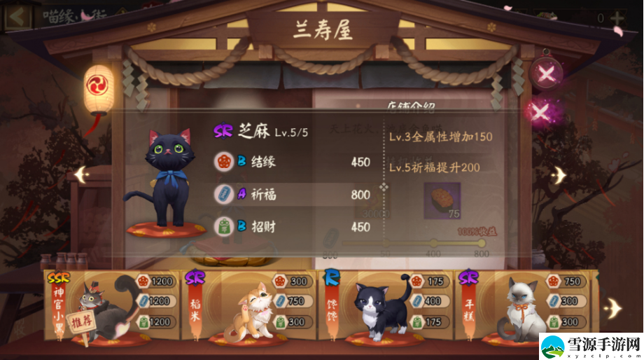 阴阳师喵缘小街猫咪选哪个好