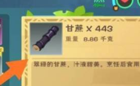 创造与魔法如何制作椰子汁