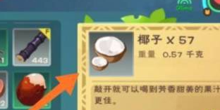 创造与魔法如何制作椰子汁