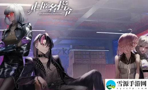 非匿名指令性格系统有什么用