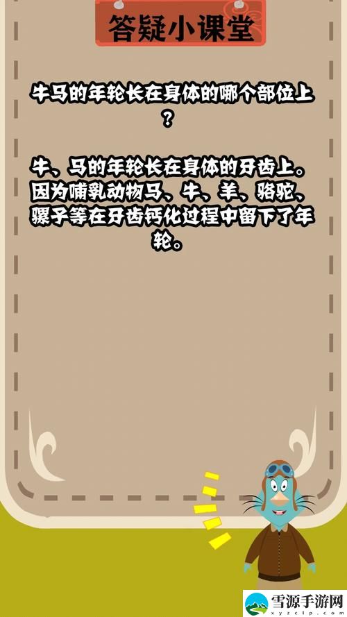牛**年轮长在什么地方