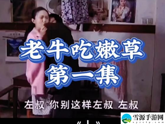 老牛影院免费观看电视剧，平台：老牛影院
