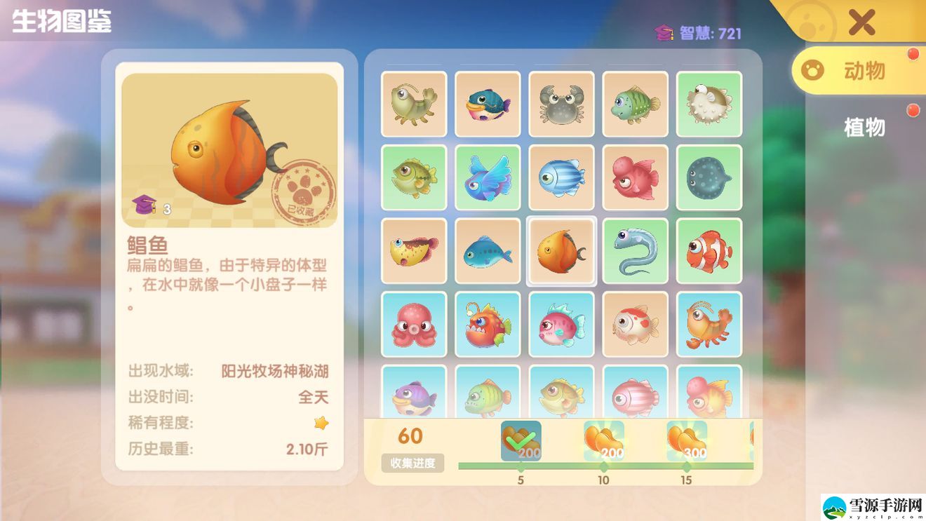 摩尔庄园手游幻彩鱼去哪里钓