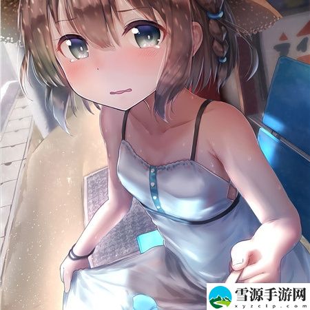 2024影视TV电视版软件大合集