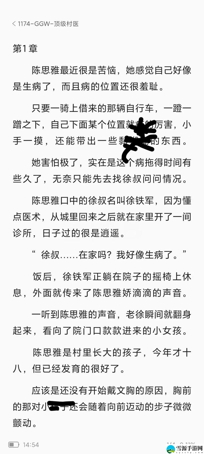 村医王叔和小丽的小说
