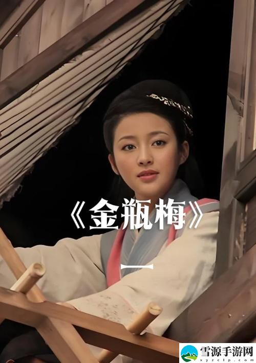 能否找到“金花瓶楷梅花2完整版免费观看”的高清资源？让我们一起探寻！