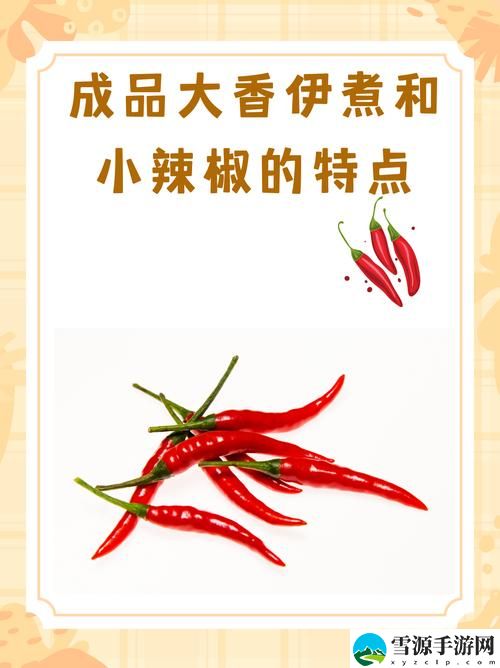 成品大香伊煮和小辣椒，网友：这个搭配真是绝了！