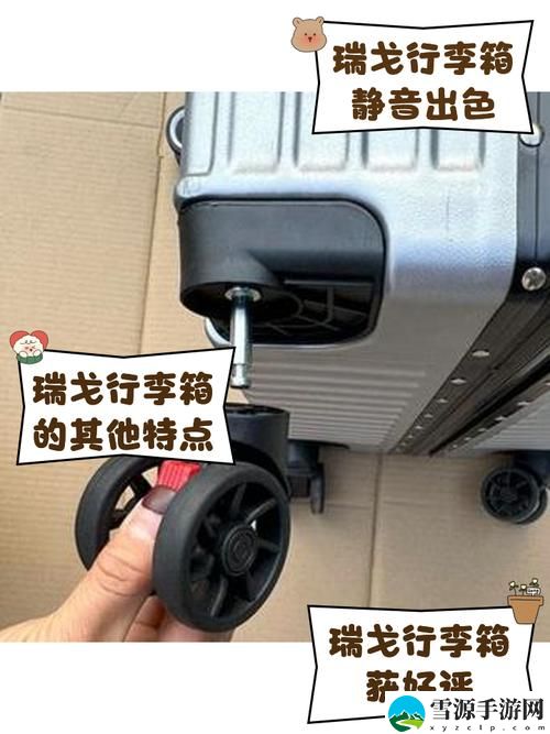 和老婆长途汽车的轮杆揭秘，网友：这段旅程让我收获了意想不到的温暖