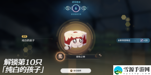 崩坏星穹铁道异宠拾遗稀有造物培育配方大全：应对高强度敌人的防御技巧