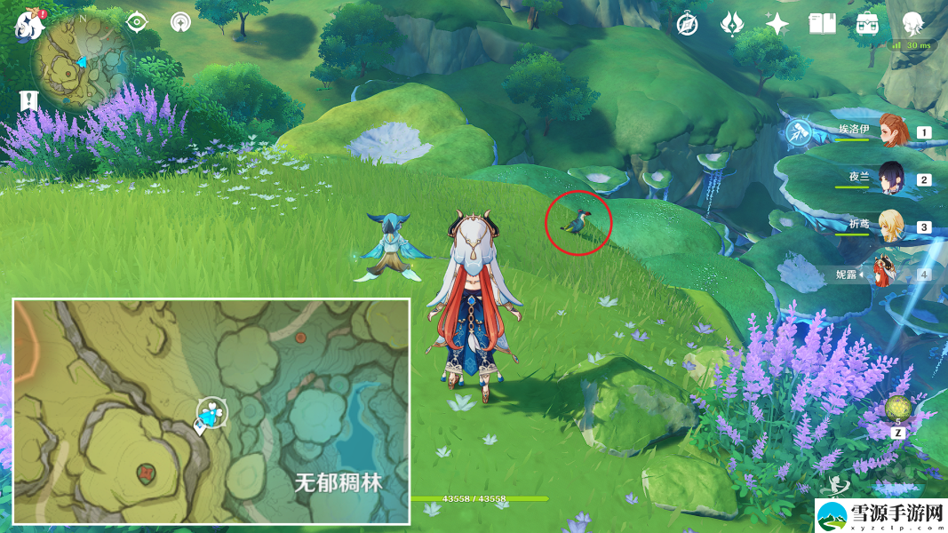 原神如何捕捉须弥动物