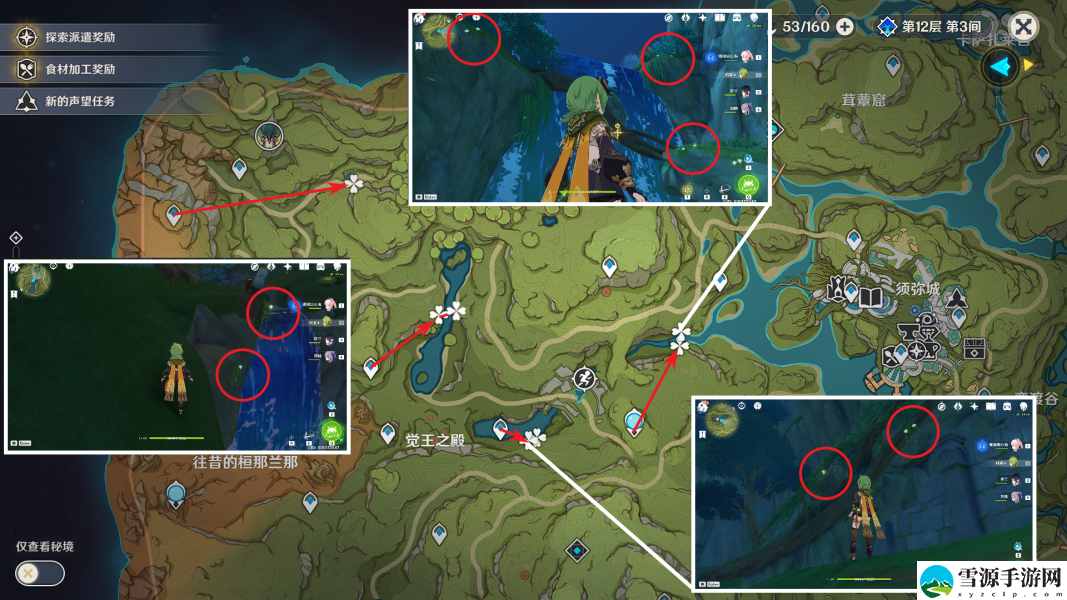 原神劫波莲去哪里采集