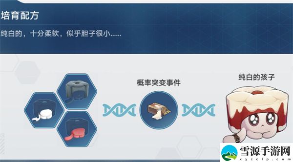 星穹铁道隐藏稀有造物怎么获得：稀有道具全收集建议