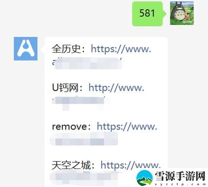那种网站你懂的：探索网络背后的秘密