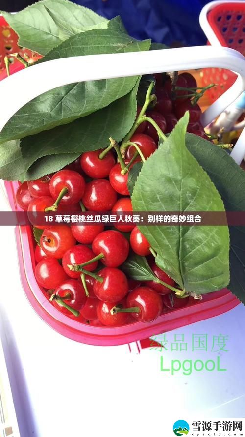 草莓樱桃丝瓜绿巨人秋葵大全，网友直言：这些食材让夏天更美好！