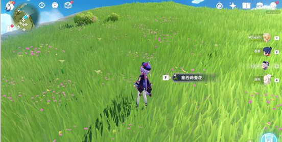 原神塞西莉亚花采集路线怎么走