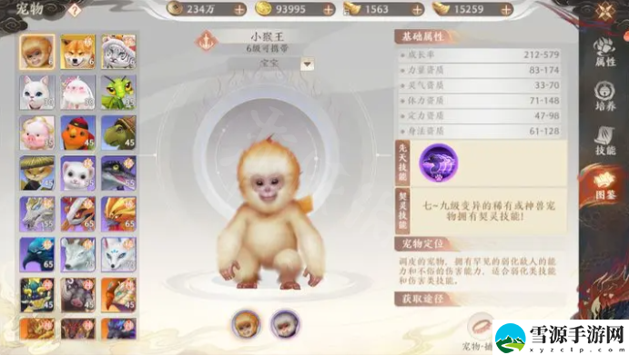 天龙八部2手游宠物获取攻略 宠物在哪里获得