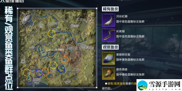 星球重启金色鱼点在哪里：副本组队配合与默契打造