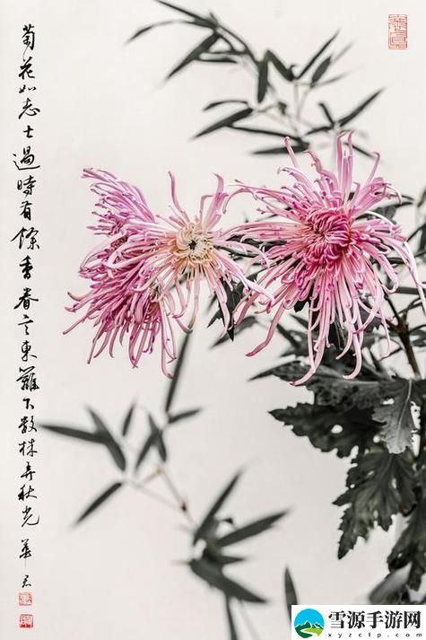 国产做受与入口竹菊稳居榜首，网友：品质与体验双赢！
