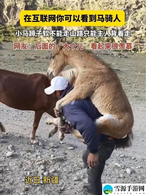 在数字世界中，Zoom动物人配人马能否实现人类与自然的和谐共生？