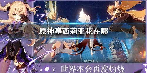 原神塞西莉亚花在哪里 原神塞西莉亚花位置介绍
