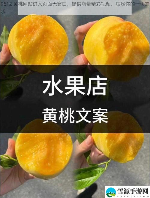 如何通过“9612黄桃网站进入IOS”轻松找到热门资源？