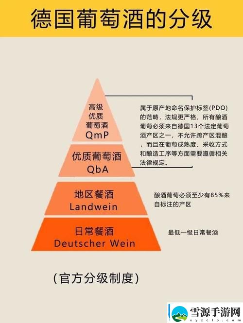揭示97精产国品一二三产区区别背后的秘密，消费者如何选择更适合的产品？