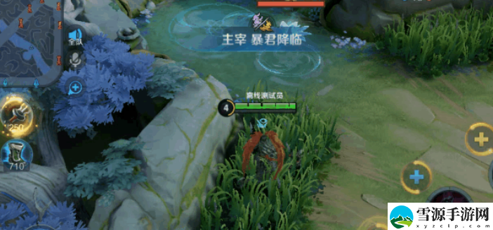 王者荣耀闪影花是干什么用的
