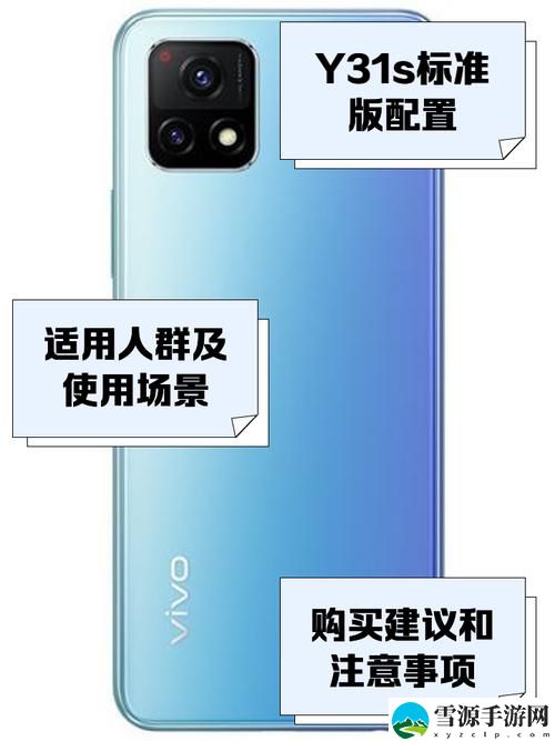 为何“一级成色好的Y31S6标准版”成为市场上的热销产品？