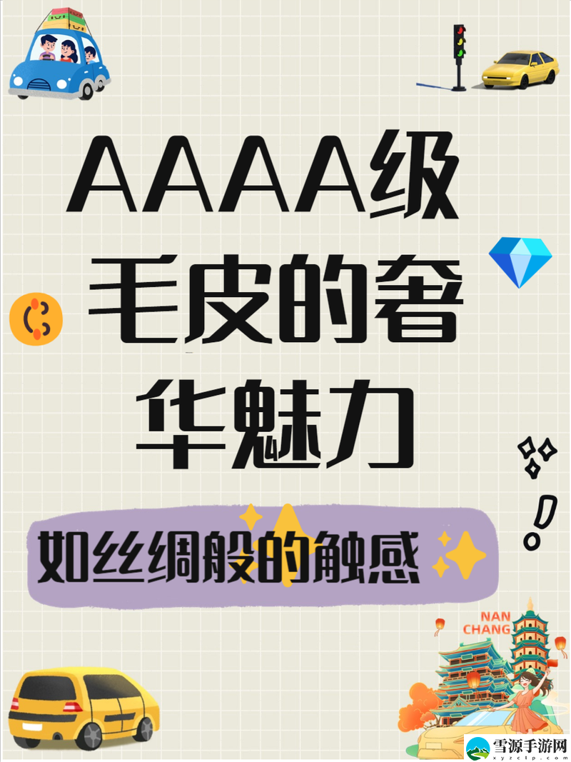 深入探讨AAAA级毛和AAAA的区别是什么？