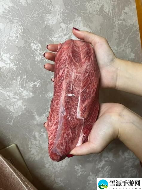  大肉大捧一进一出视频，网友分享：生活中的小乐趣与大肉的魅力