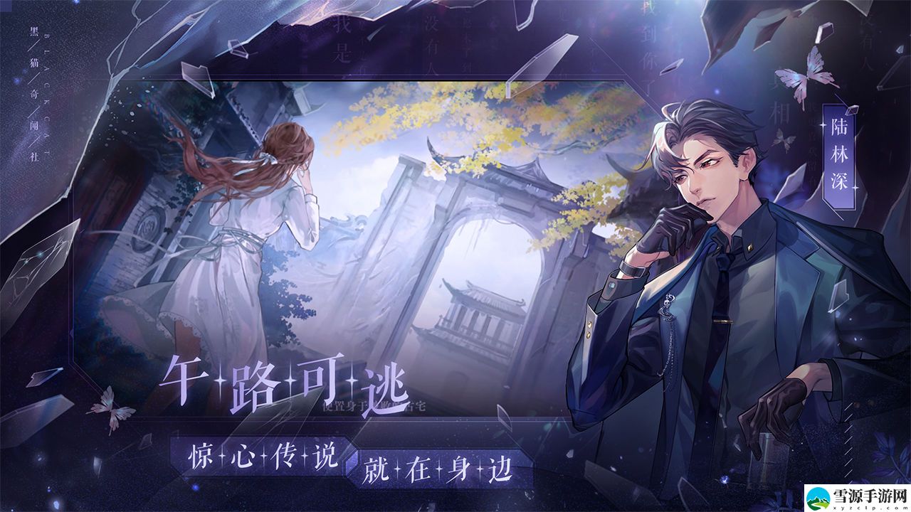 黑猫奇闻社溯源篇第三章养卡用什么