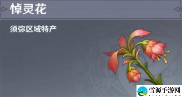 原神悼灵花采集路线攻略：如何在竞技场保持连胜