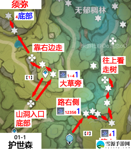 原神树王圣体菇的具体位置在哪
