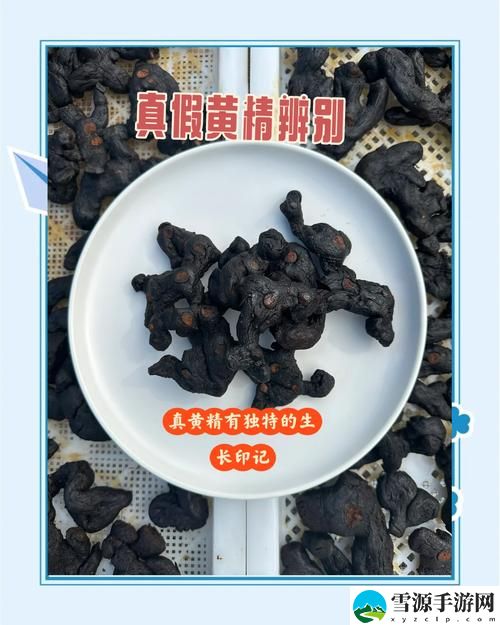 国产精品国精产品一二三区别，读者：探索国货的魅力与价值