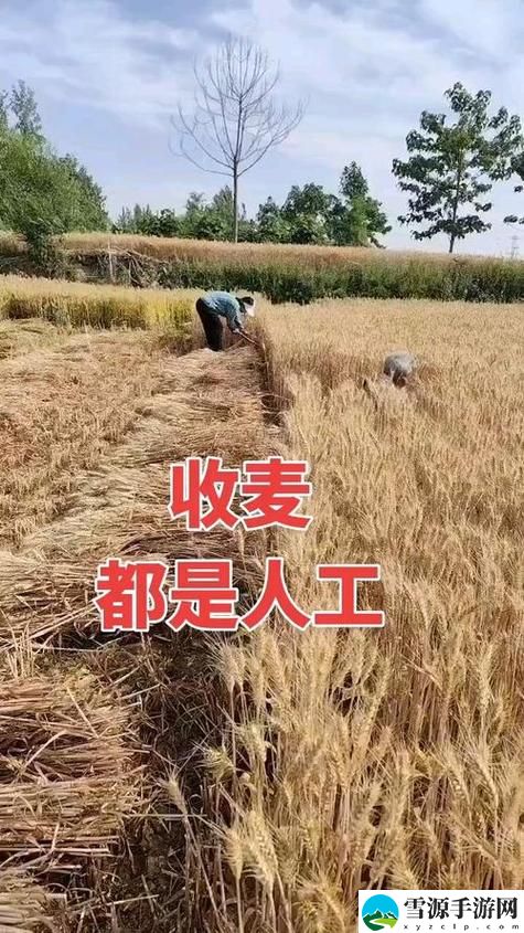 兄弟换麦子4国语中字，粉丝表示：我们的友情永不褪色