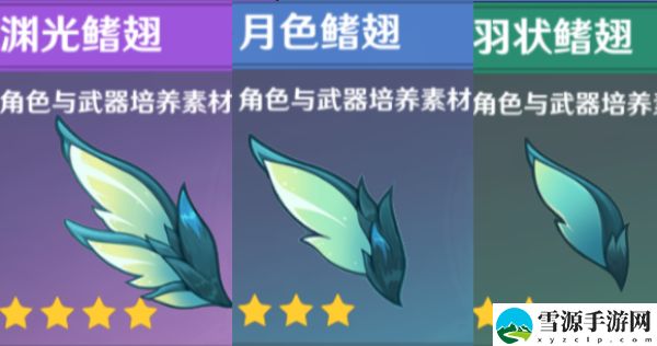 原神玄文兽位置大全