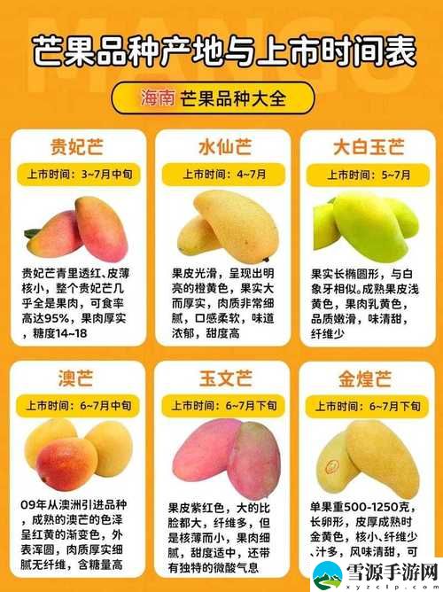 精产国品一二三产区区：如何促进地区协同发展与资源优化配置？