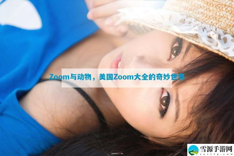非洲Zoom与Zoom性能对比，网友感叹：网络的另一种维度